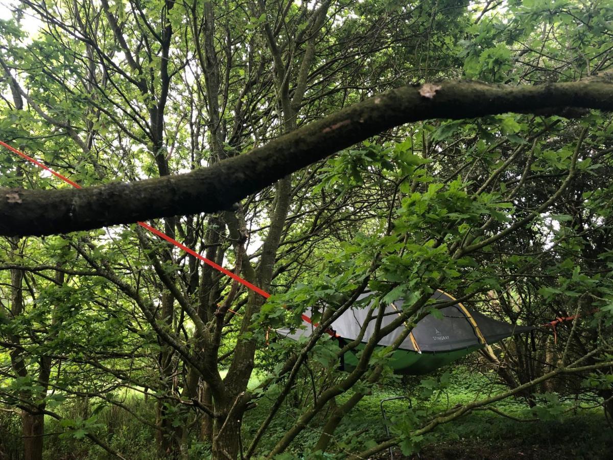 Naturecamp Куксхавен Екстериор снимка